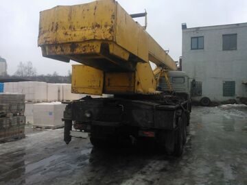 WP_005958